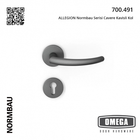 ALLEGION Normbau Serisi Cavere Kavisli Kol